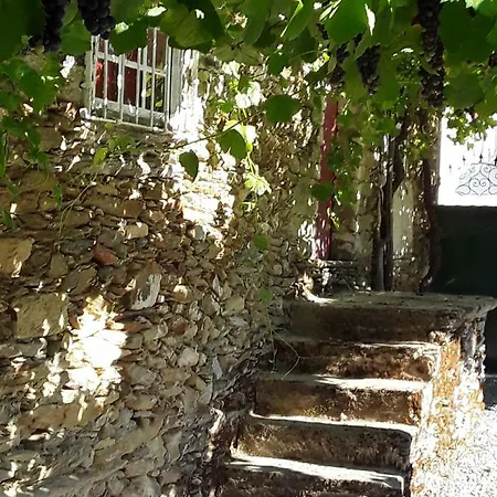 Casa Do Douro Castedo