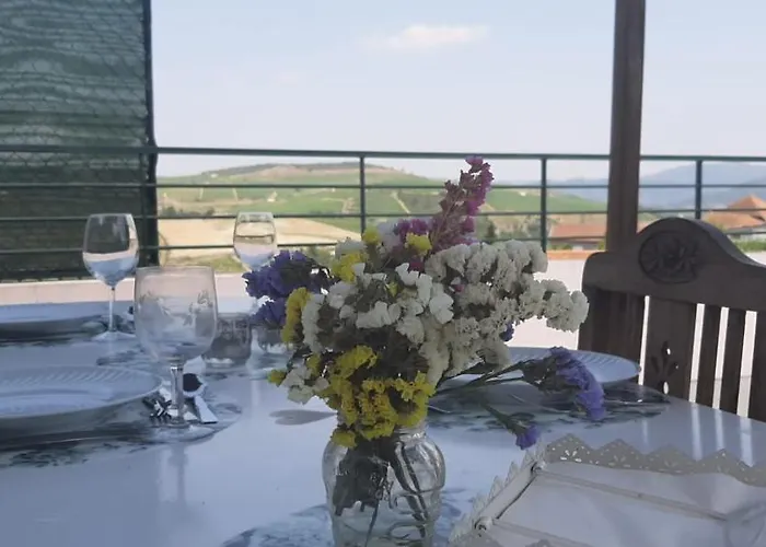 Сasa de vacaciones Casa Do Douro