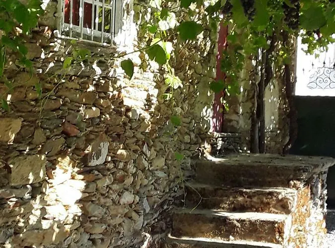 Casa Do Douro Castedo