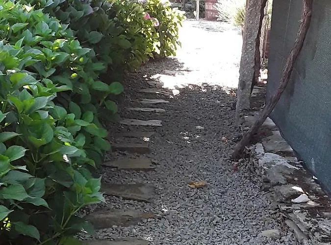 Сasa de vacaciones Casa Do Douro Castedo