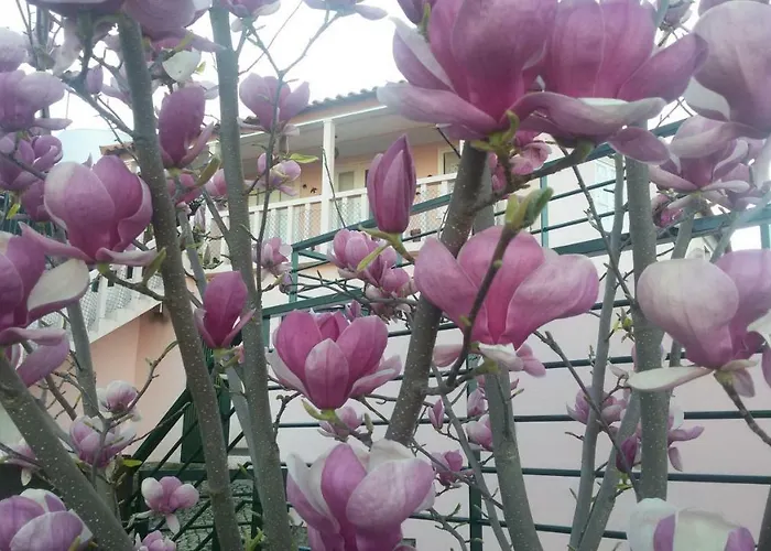 Сasa de vacaciones Casa Do Douro Castedo